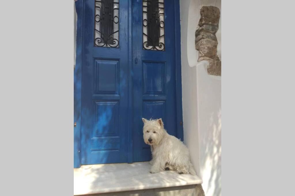 Blue & White: An Absolute Aegean Dream House Villa Galini  Exteriör bild